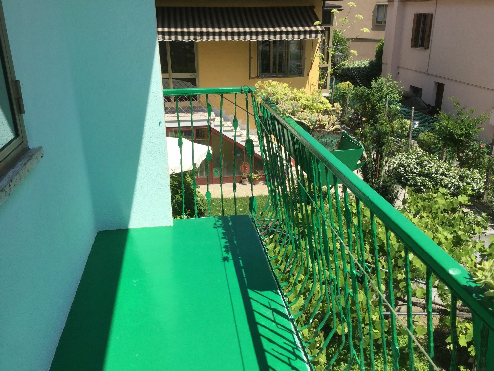ميستر Ever Green المظهر الخارجي الصورة